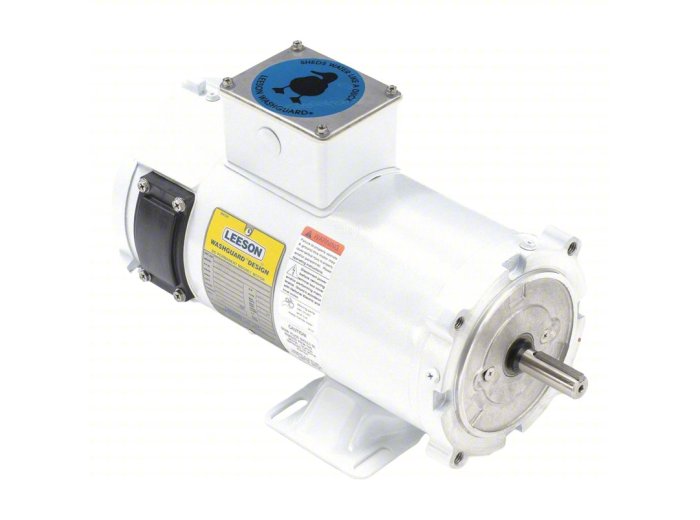 LEESON Washdown Motor
