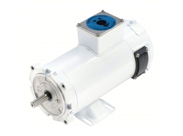 LEESON Washdown Motor