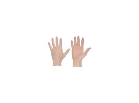 Vinyl Gloves