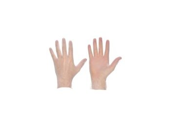 Vinyl Gloves