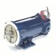 LEESON Hazardous Location Motor