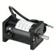 Non-Standard Frame General Purpose DC Motors